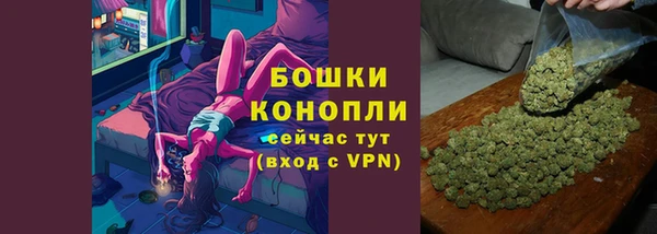 мдпв Елабуга