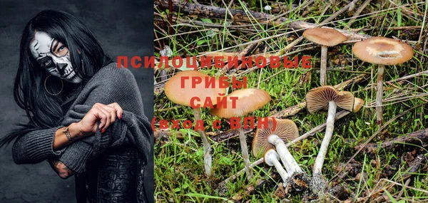 мдпв Елабуга
