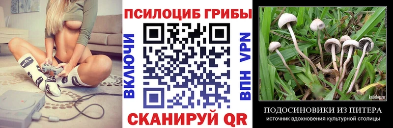 Галлюциногенные грибы ЛСД Каменногорск